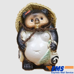 Female TANUKI