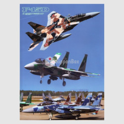 Clear File Folder - JASDF F-15 D