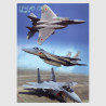 Clear File Folder - JASDF F15C/D
