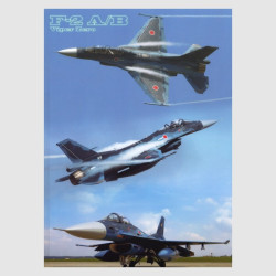 Clear File Folder - JASDF F-2 A/B
